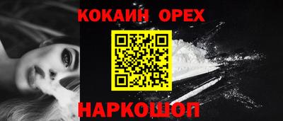 крисы Моздок