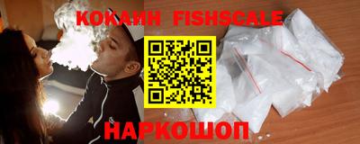 крисы Моздок