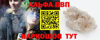 крисы Моздок