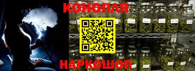 крисы Моздок