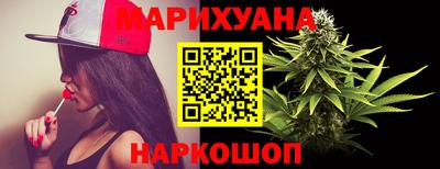 крисы Моздок