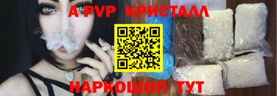 крисы Моздок
