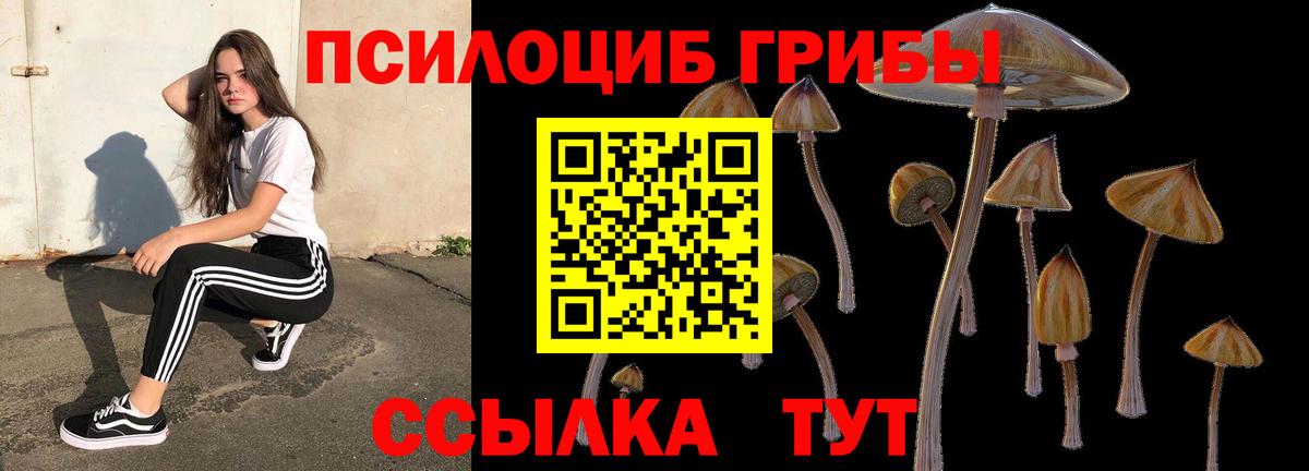 Галлюциногенные грибы прущие грибы Хасавюрт